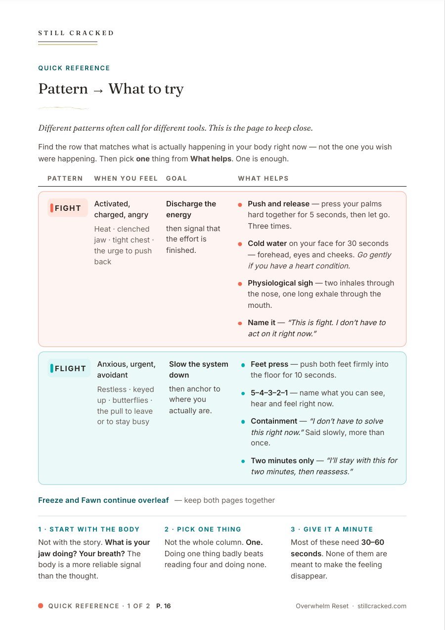 Overwhelm Reset page 16: the Pattern → What to try quick reference for fight and flight