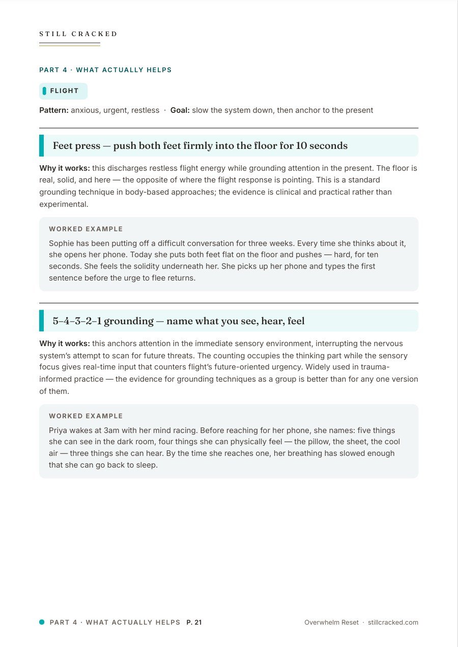 Overwhelm Reset page 21: flight tools, the feet press and 5–4–3–2–1 grounding, with worked examples