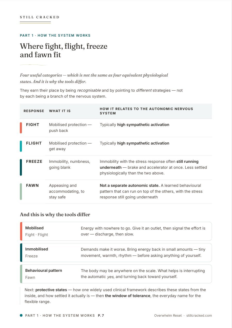Overwhelm Reset page 7: where fight, flight, freeze and fawn fit, as four useful categories