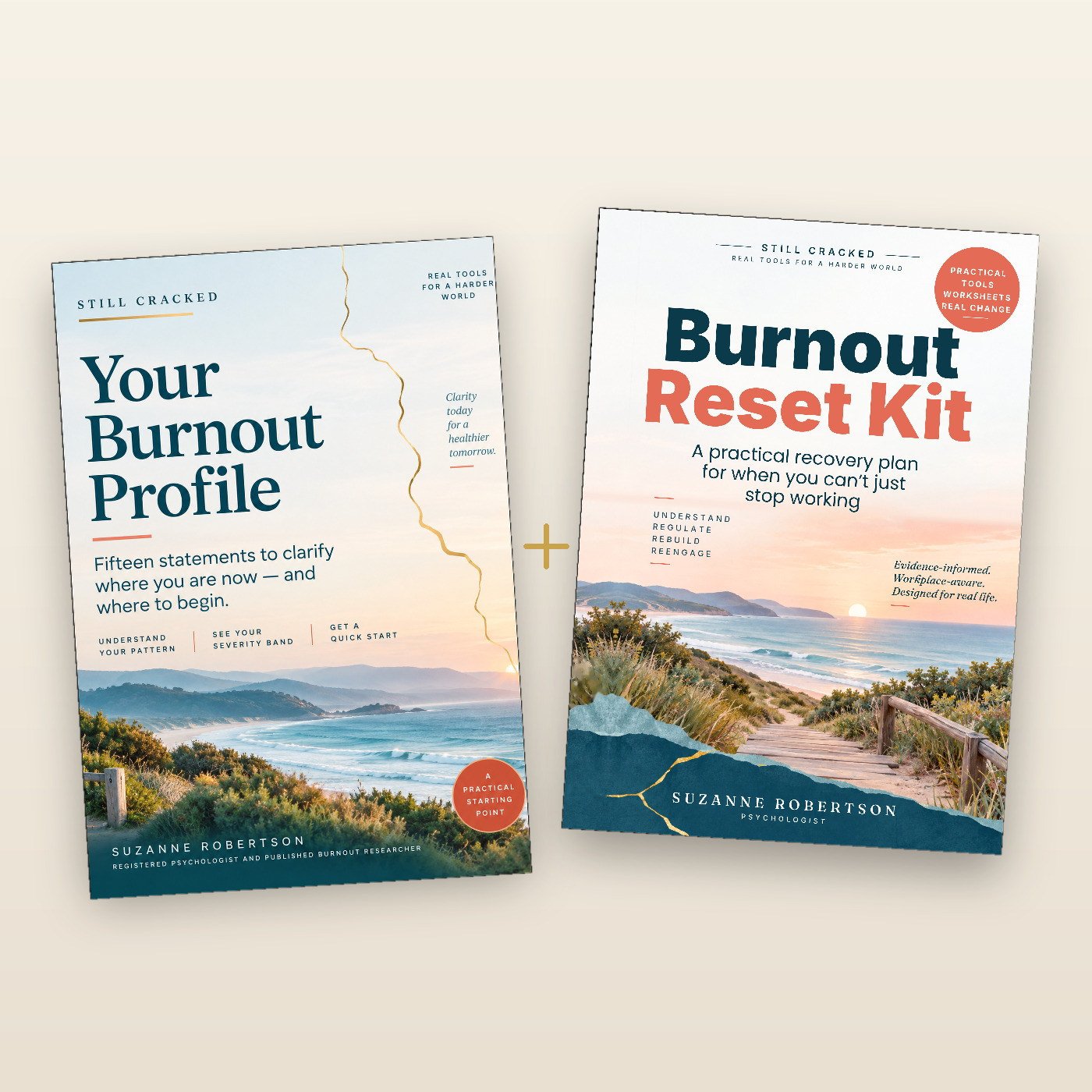 The Burnout Profile and the Burnout Reset Kit shown together